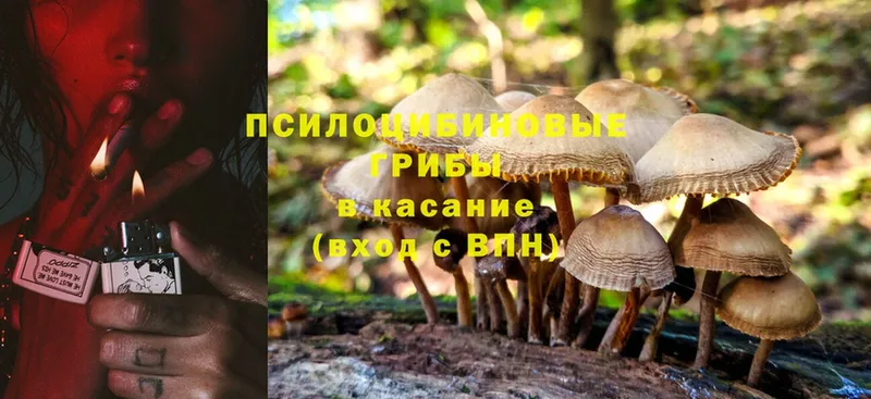 Галлюциногенные грибы Magic Shrooms  blacksprut tor  Кимовск 